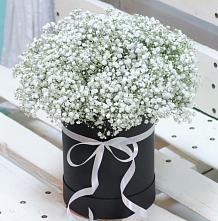 Цветочная композиция из Гипсофила в шляпной коробке #REPLACE_PRED# Прибельский
